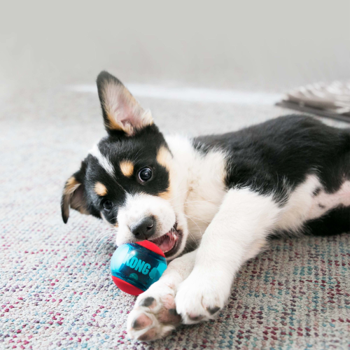 Dog Toy - KONG Squeezz Action Ball Medium (3pk)
