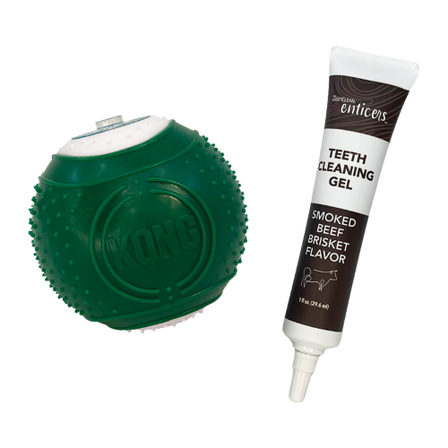 Dog Toy - KONG Dental Ball with Solution (Medium)