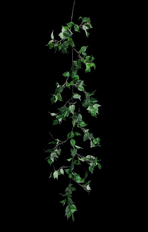 Philodendron Garland (Green) 180cm