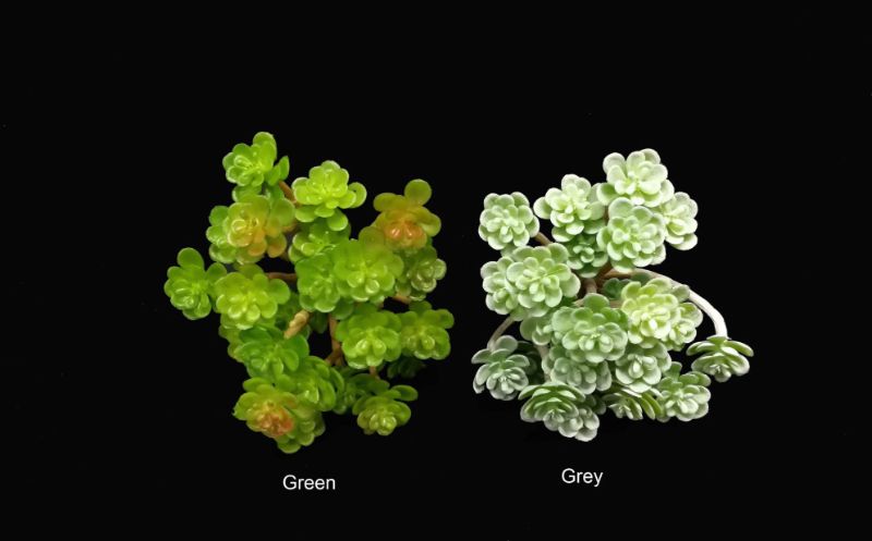 Mini Floral Succulent Bush (Green)