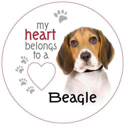 Beagle Piece of My Heart Magnet (Set of 2)