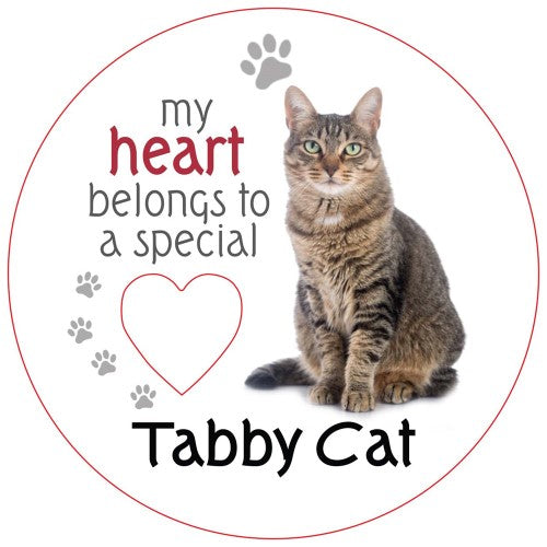 Tabby Cat Piece of My Heart Magnet (Set of 2)