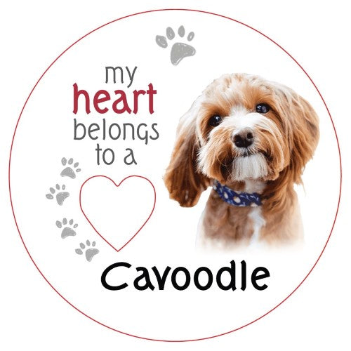Cavoodle Piece of My Heart Magnet (Set of 2)