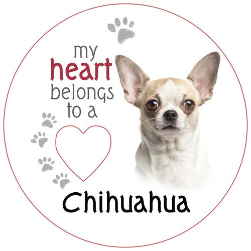Chihuahua (Short Haired) Piece of My Heart Magnet (Set of 2)