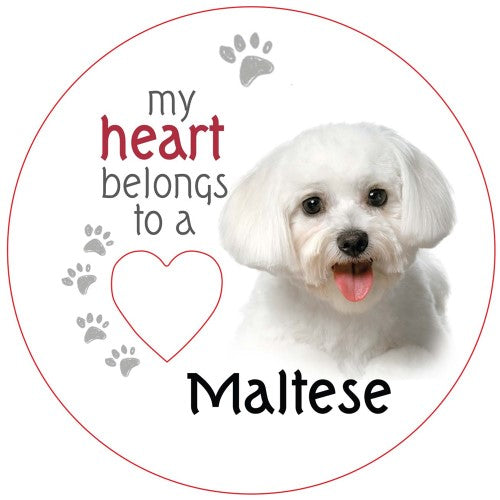 Maltese Piece of My Heart Magnet (Set of 2)