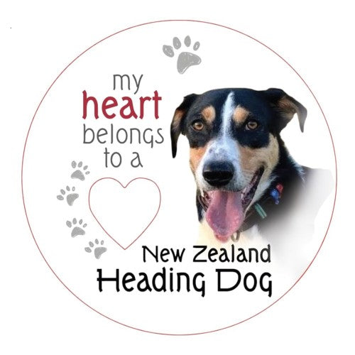 New Zealand Heading Dog Piece of My Heart Magnet (Set of 2)