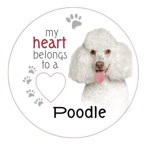 White Poodle Piece of My Heart Magnet (Set of 2)