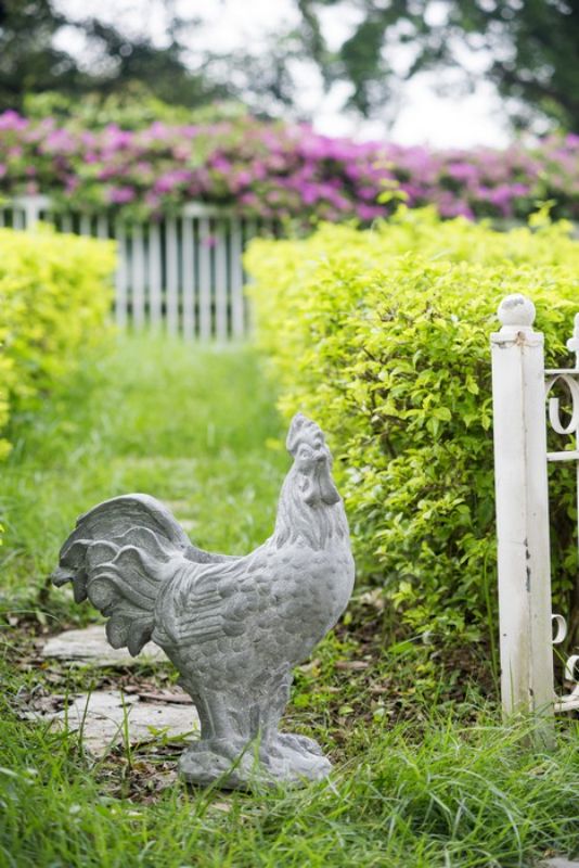 PLANTER - ROOSTER (48cm)