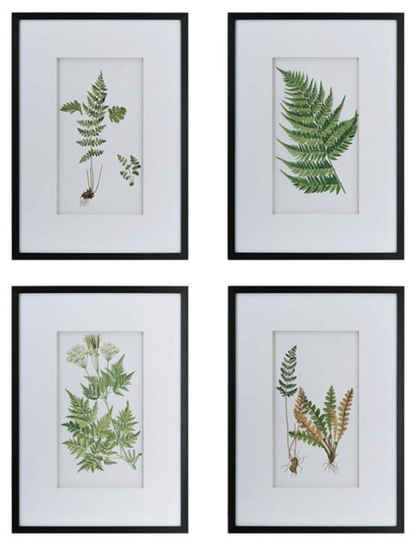 Wall Art - BOTANICAL 1 (Set of 4)