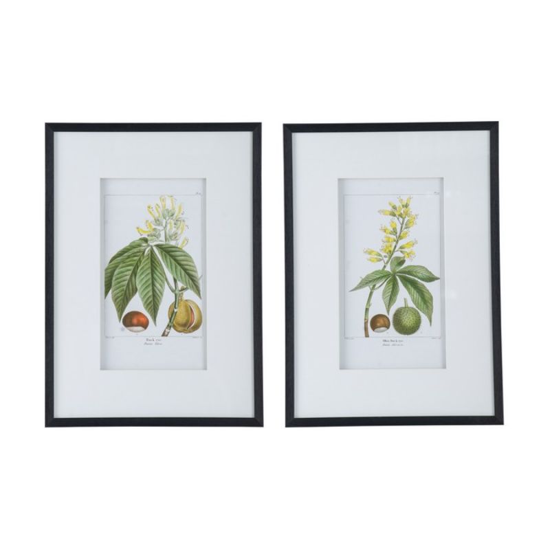 Botanical & Bird Wall Arts Set of 2