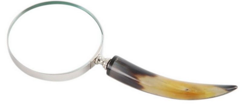 Magnifier With Horn Handle - Brass Aluminium (24.5cm)