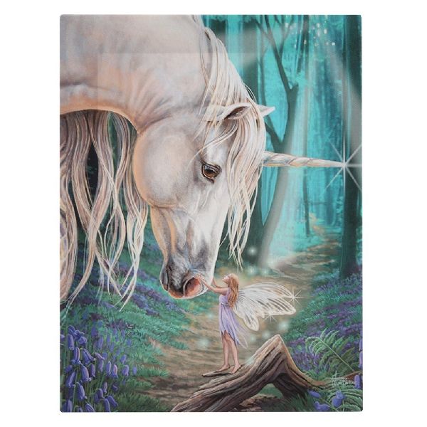 Small Fairy Whispers Canvas Plaque