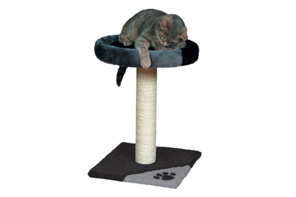 Cat Tarifa Scratching Post