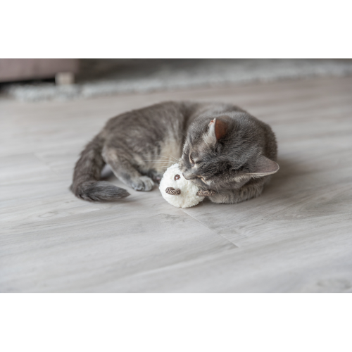 Cat Toy - Catnip Bear Ball 8cm (Assorted)