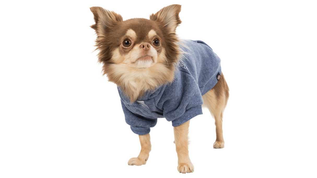 Dog Hoodie - BE NORDIC Hoodie L 55cm (Blue)