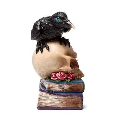 Ornament - Crow Perched on LED Skull & Books (19.5cm)