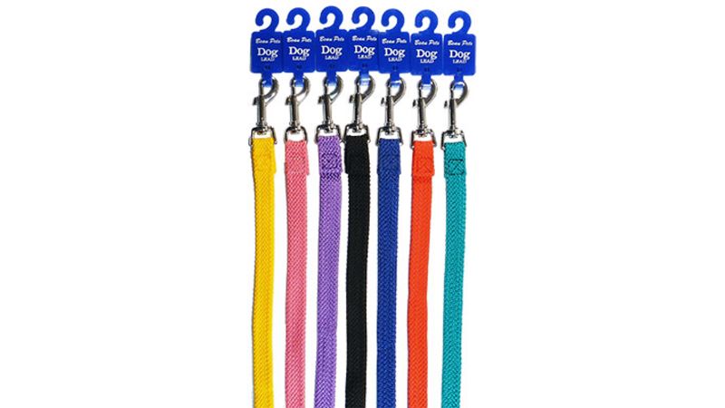 Double Nylon Webbing Lead 20mmx180cm - Pink