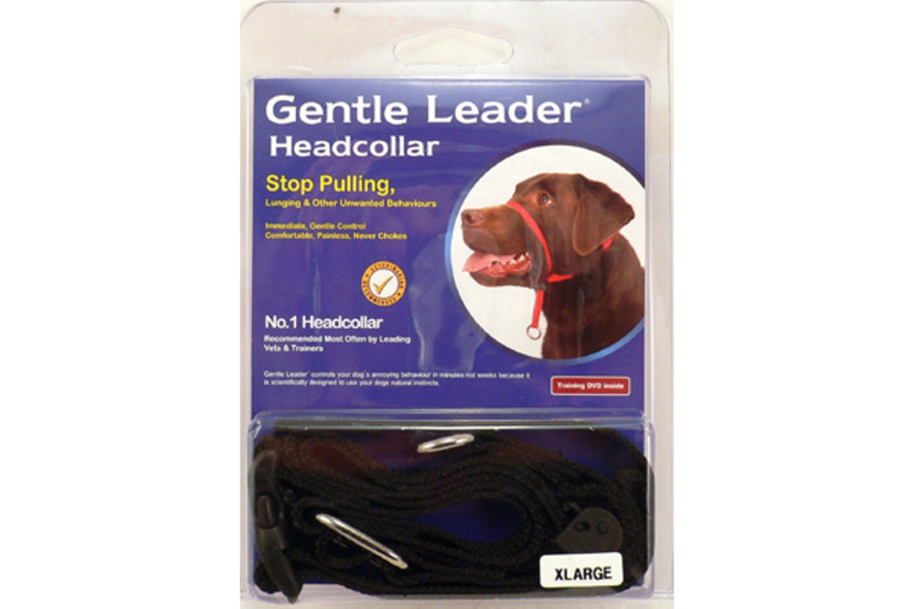Dog Head Collar - XL