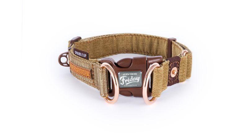 Dog Collar - ED Double Up XL Corduroy