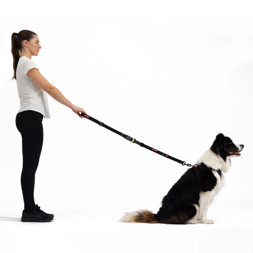 2-in-1 Car Leash Dog Seatbelt