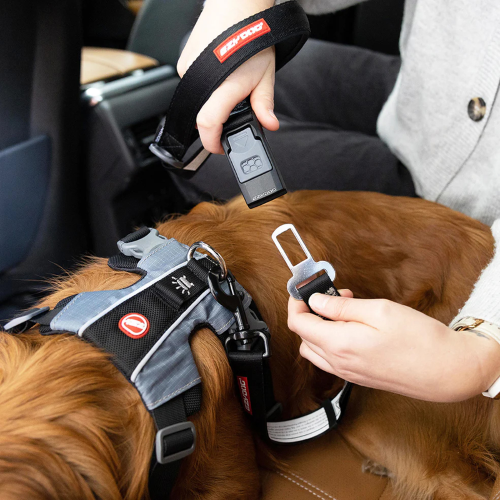 2-in-1 Car Leash Dog Seatbelt