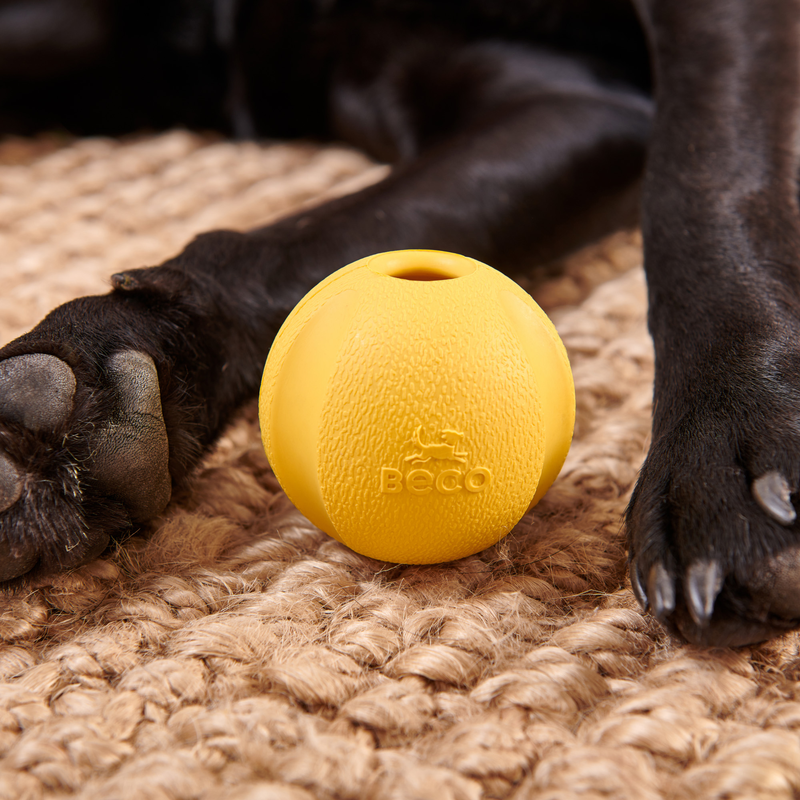 Beco Fetch Ball - Yellow