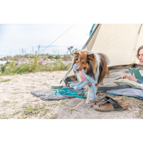 Dog Toy - Dinosaur Plush Standing (38cm)