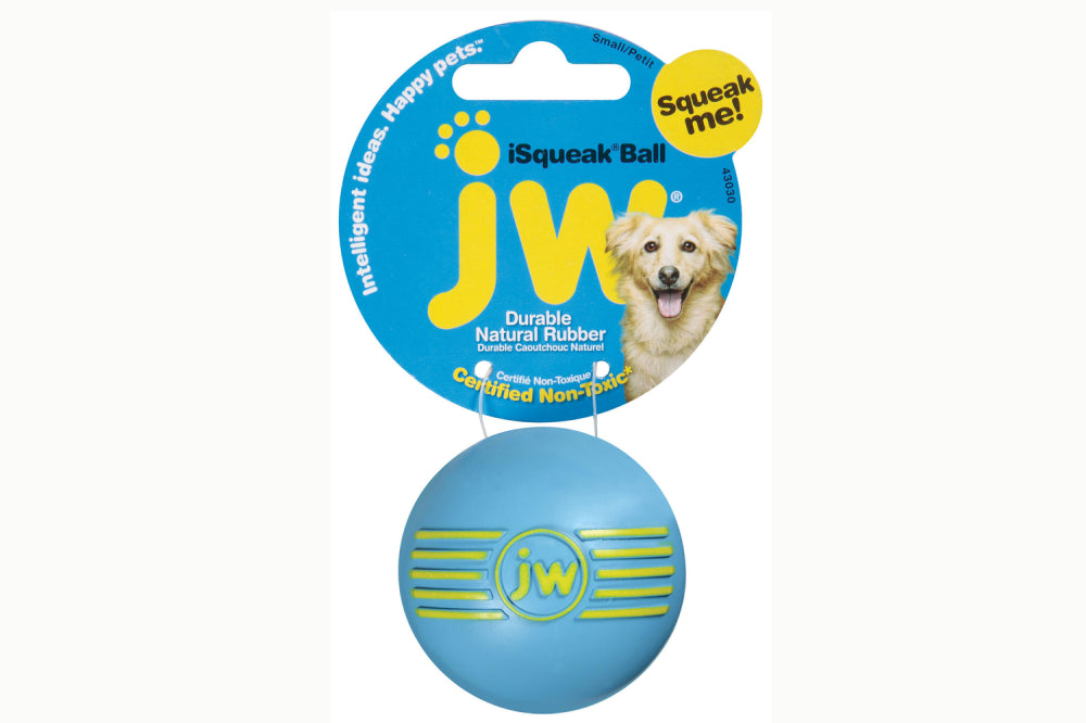 Dog Toy - JW iSqueak Ball - Medium