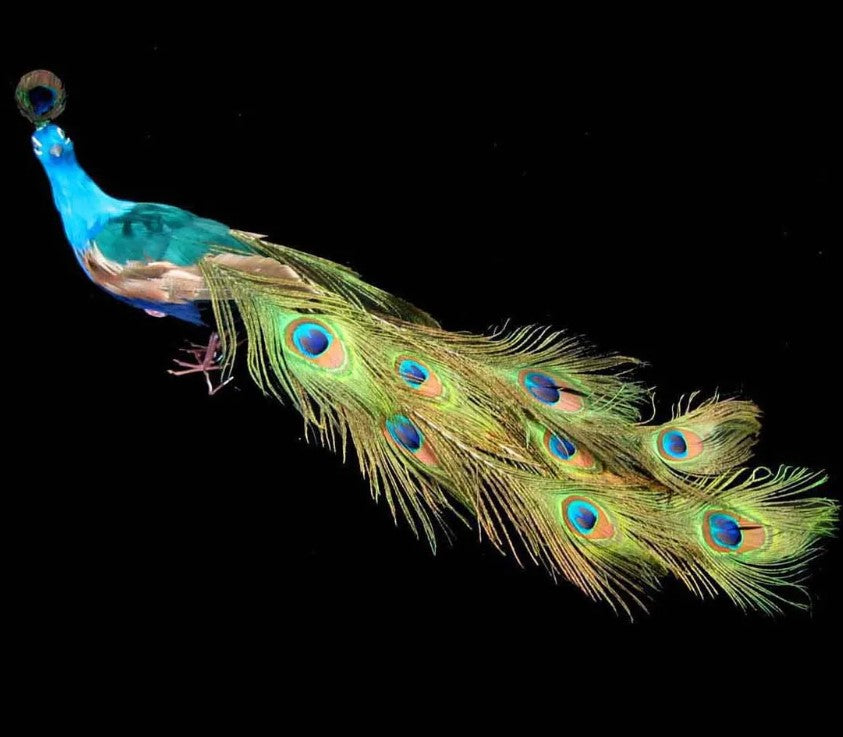 Ornament - Peacock - Natural Feather (Large)