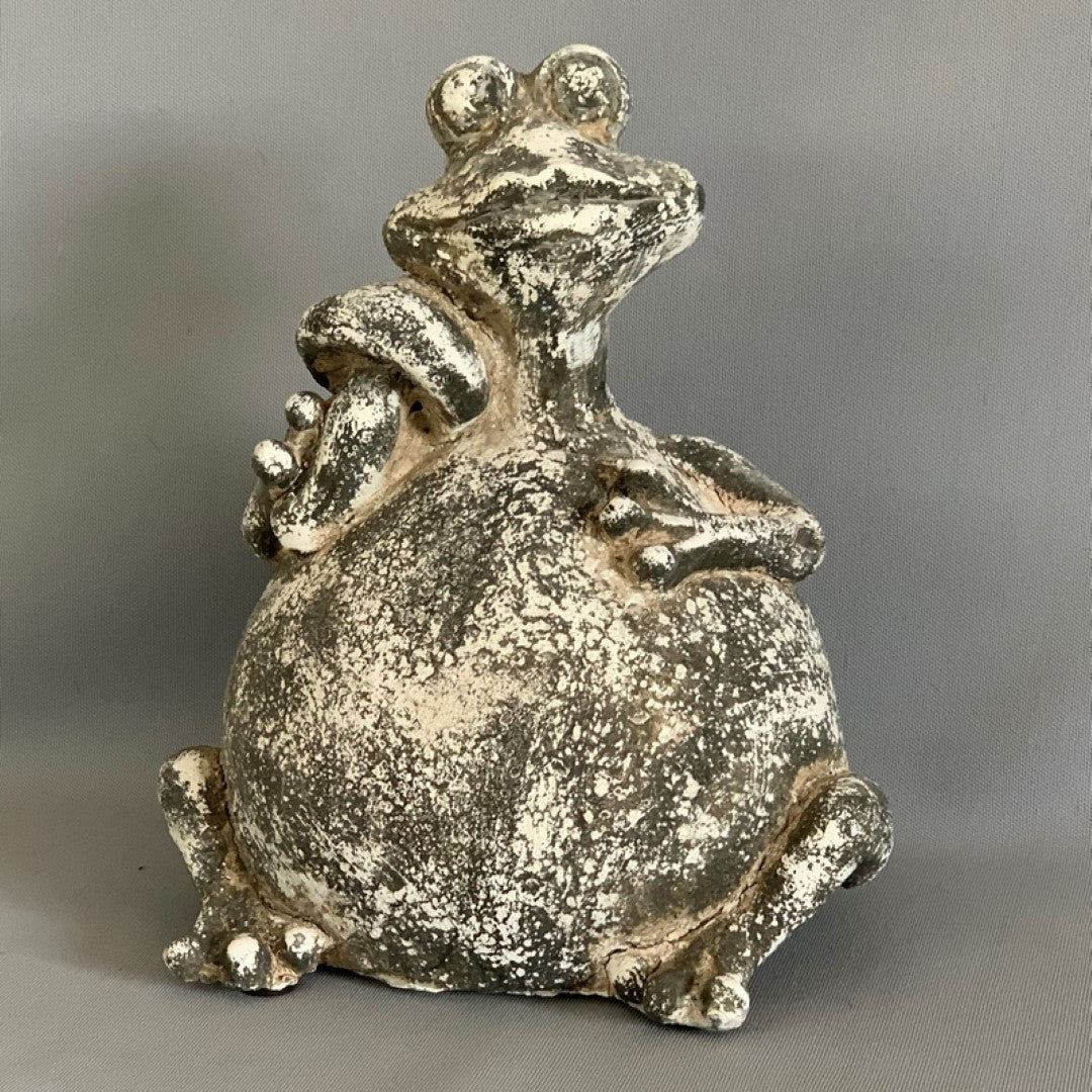 Ornament - Frog With Toadstool (19 x 15cm)
