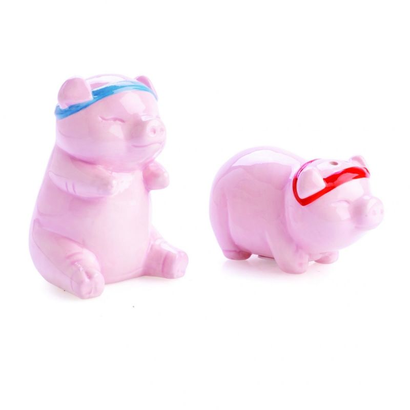 Salt & Pepper Set - Flavour Mates Rude Pigs