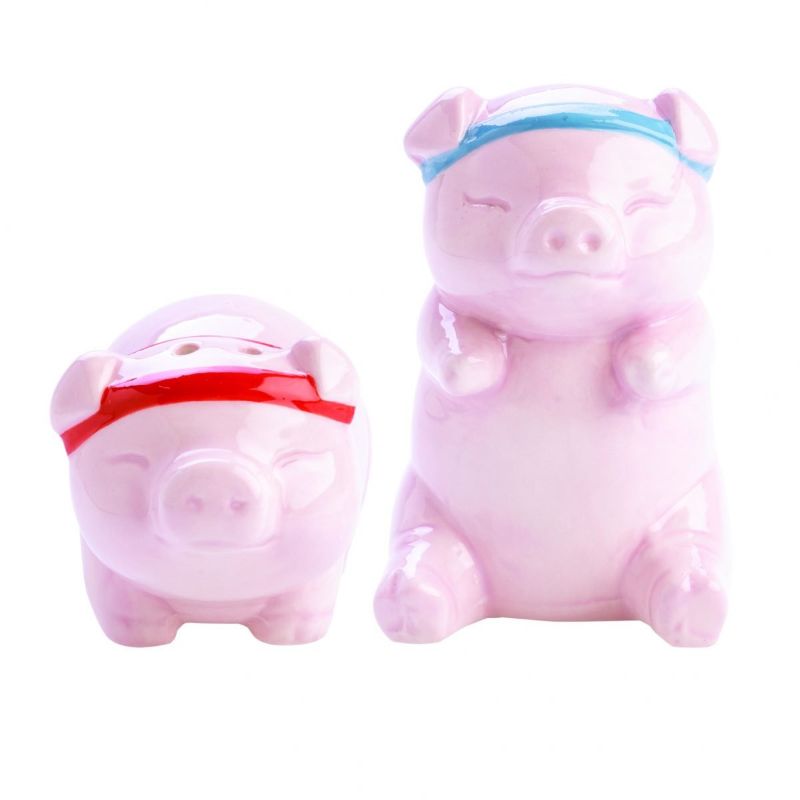 Salt & Pepper Set - Flavour Mates Rude Pigs