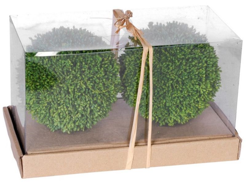 Boxwood Mini Set of 2 Ball in Box