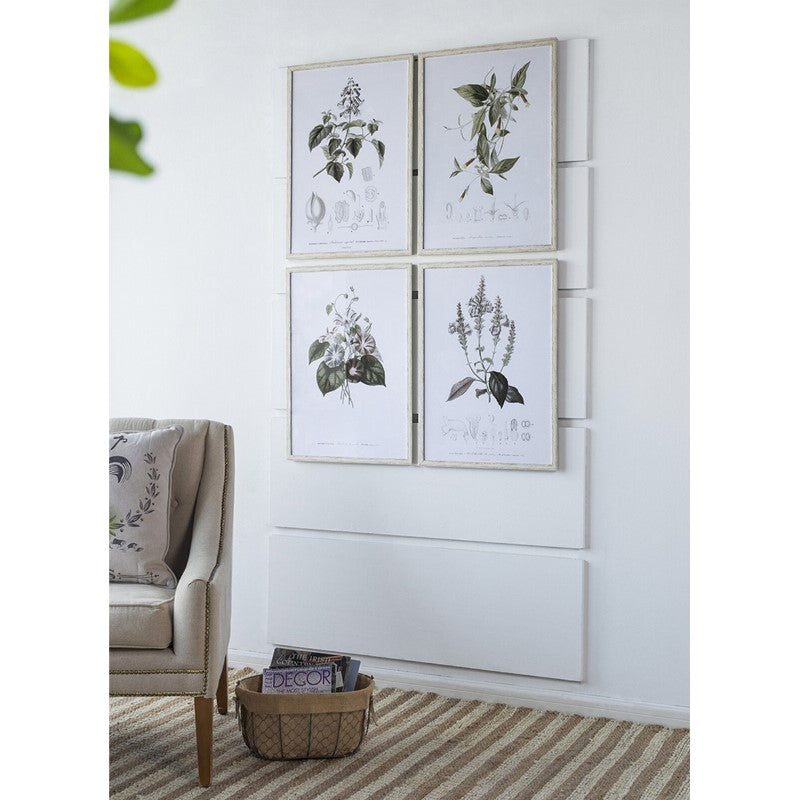 FRAMED ART - BOTANICAL (Set of 4)