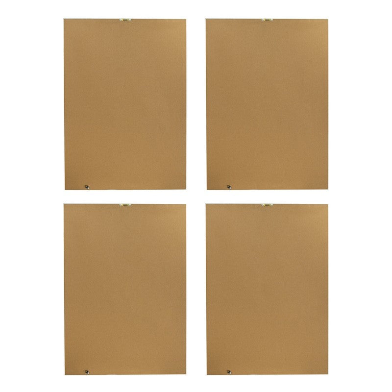 FRAMED ART - BOTANICAL (Set of 4)