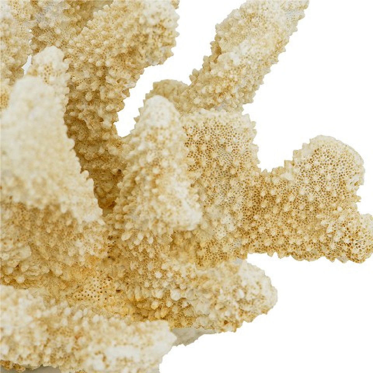 FAUX CORAL - NATURAL (22 x 17 x 14cm)