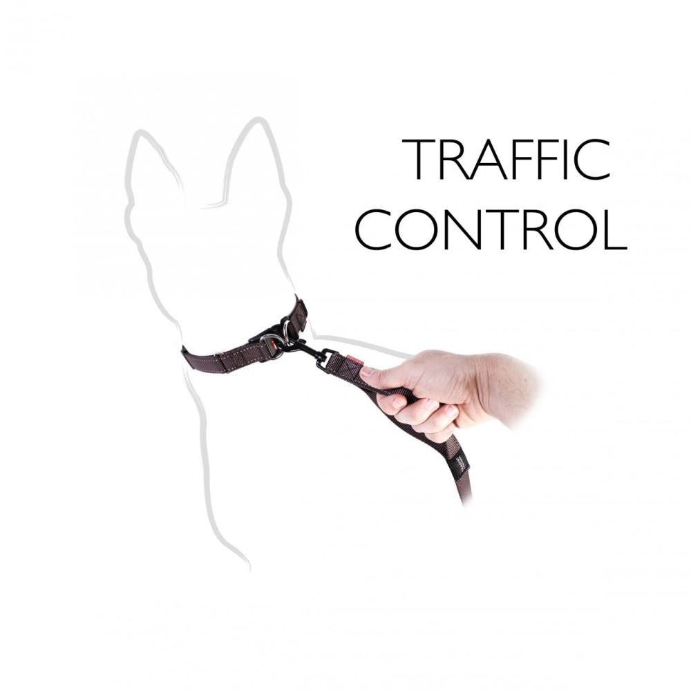 Dog Lead - Ezy Dog Zero Shock Leash - 120cm - Blue