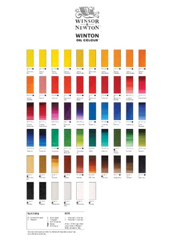 Winsor & Newton Winton Oil Colour 200ml - Lamp Black (337)