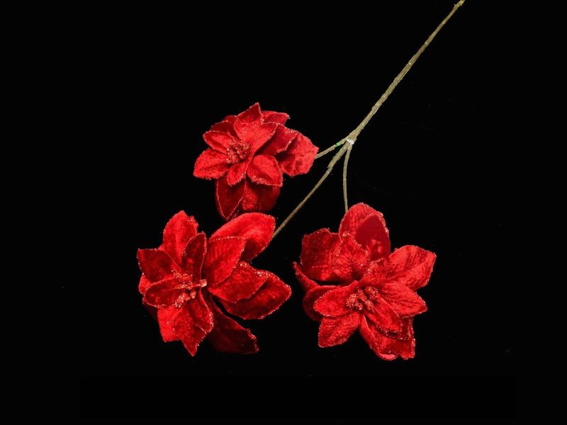 Artificia Glitter Poinsettia Spray with 3 Flowers (Red Velvet)