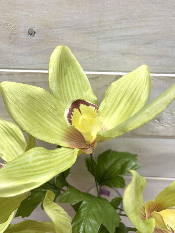 Artificial Cymbidium Orchid Bush (Green)