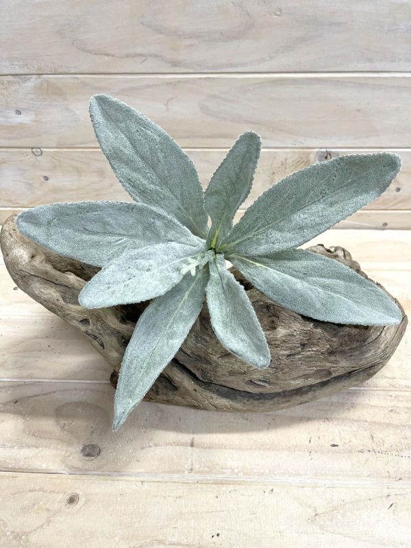 Artificial Silver Carpet Lamb Ear