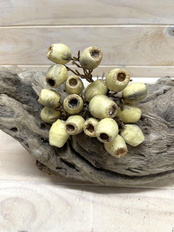 Artificial Eucalyptus Nut Bundle (Cream)