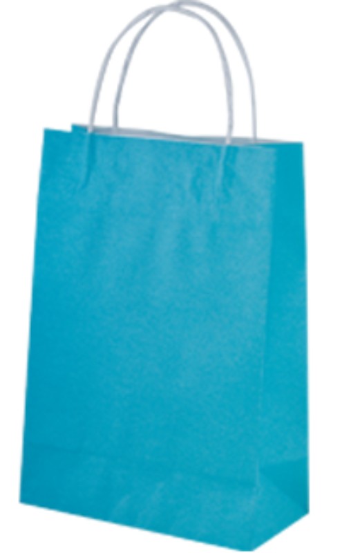 Paper Bag BlueJunior - (250 Bags) 29 x 20cm