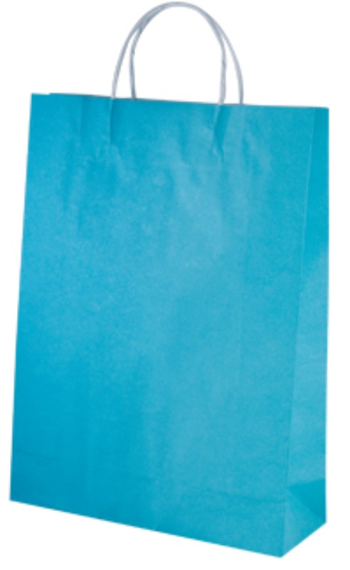 Paper Bag Midi - 42 x 31cm Blue (250 Bags)
