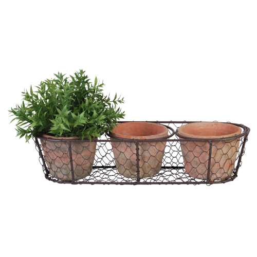AT 3 Pots in Wire Basket (37 x 13 x 10cm)