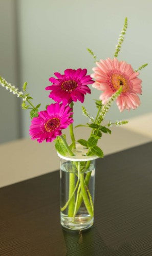 Flower Arranging Disc - Small White (Set of 12)