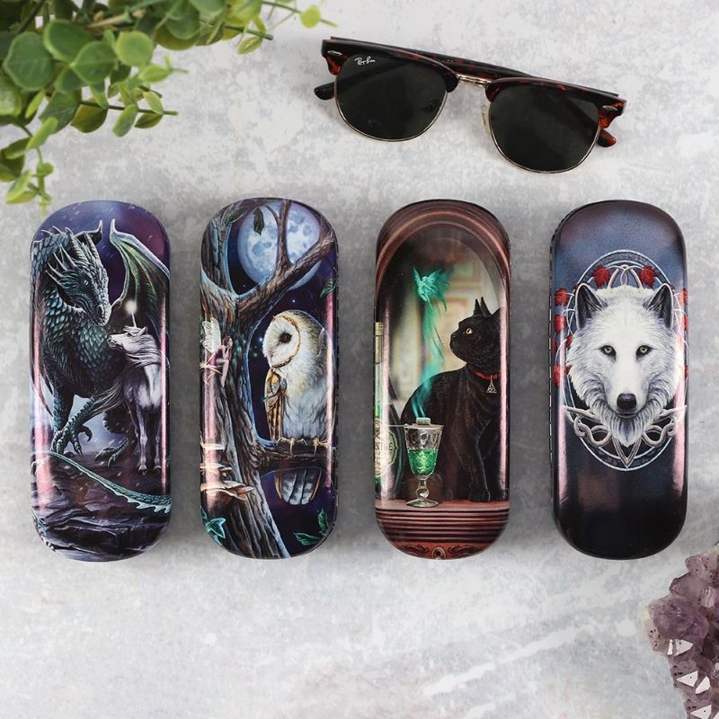 Fairy Tales Glasses Case By Lisa Parker
