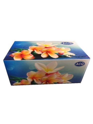 Box Facial Tissue (12 Boxes)