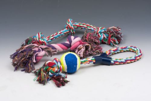 Dog Cotton Tug Rope - 40cm (Set Of 3 Assorted)