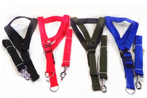 Dog Leash 4cm (Set Of 3 Assorted)